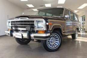 1989 Jeep Grand Wagoneer for sale 101984011