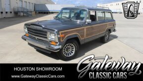 1989 Jeep Grand Wagoneer for sale 102010329