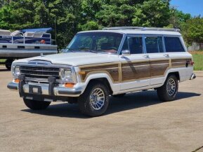 1989 Jeep Grand Wagoneer for sale 102017484