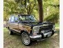 1989 Jeep Grand Wagoneer for sale 101800303