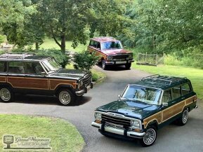 1989 Jeep Grand Wagoneer for sale 101784854