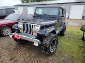 1989 Jeep Wrangler for sale 101742990