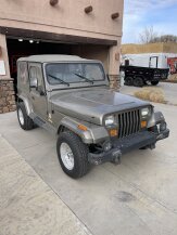 1989 Jeep Wrangler 4WD Sahara for sale 101999796