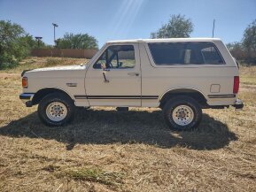 1990 Ford Bronco for sale 101801364