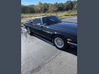 Thumbnail Photo 3 for 1990 Jaguar XJS V12 Convertible for Sale by Owner