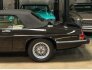 1990 Jaguar XJS for sale 101781377