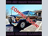 1990 Jeep Grand Wagoneer for sale 102009898