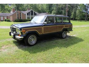1990 Jeep Grand Wagoneer for sale 101750058
