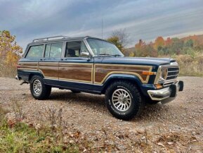 1990 Jeep Grand Wagoneer for sale 101823979