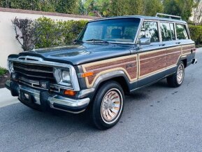 1990 Jeep Grand Wagoneer for sale 101900004