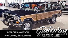 1990 Jeep Grand Wagoneer for sale 102001268