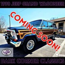 1990 Jeep Grand Wagoneer for sale 102009898