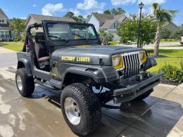 1990 Jeep Wrangler 4WD