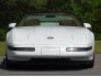 1991 Chevrolet Corvette for sale 101783125
