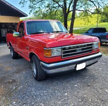 1991 Ford F150 2WD Regular Cab XL for sale 101969367