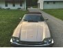 1991 Jaguar XJS V12 Convertible for sale 101746555