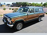 1991 Jeep Grand Wagoneer for sale 101984029