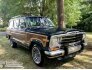 1991 Jeep Grand Wagoneer for sale 101784850