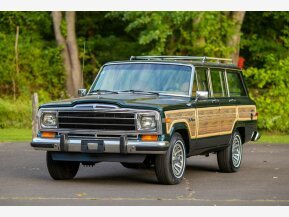 1991 Jeep Grand Wagoneer for sale 101798031