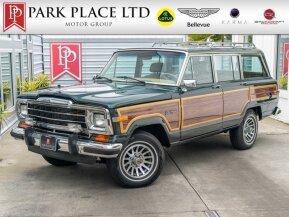 1991 Jeep Grand Wagoneer for sale 101863390