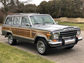 1991 Jeep Grand Wagoneer for sale 101869947