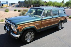 1991 Jeep Grand Wagoneer for sale 101984029