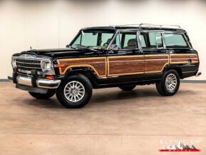 1991 Jeep Grand Wagoneer for sale 101990462