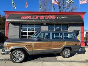 1991 Jeep Grand Wagoneer for sale 101996710