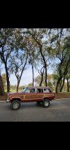 1991 Jeep Grand Wagoneer for sale 101999763