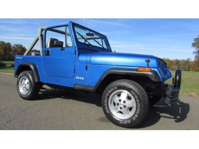 1991 Jeep Wrangler for sale 101723663