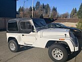 1991 Jeep Wrangler 4WD Renegade for sale 102019185