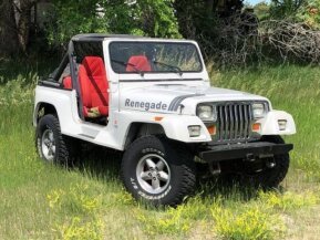 1991 Jeep Wrangler for sale 101960281