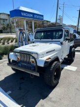 1991 Jeep Wrangler for sale 102015381