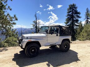 1991 Jeep Wrangler 4WD Renegade for sale 101653345