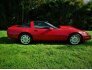 1992 Chevrolet Corvette for sale 101587019