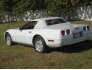 1992 Chevrolet Corvette for sale 101682325
