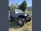 Thumbnail Photo 2 for 1992 Jeep Wrangler 4WD Unlimited Sahara for Sale by Owner