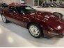 1993 Chevrolet Corvette for sale 101659239