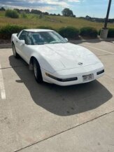 1993 Chevrolet Corvette for sale 102025583