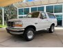 1993 Ford Bronco for sale 101761128