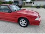 1993 Ford Mustang GT Hatchback for sale 101751167
