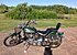 1993 Harley-Davidson Softail for sale 200864193