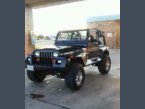 Thumbnail Photo 1 for 1993 Jeep Wrangler 4WD Renegade for Sale by Owner