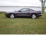 1993 Pontiac Firebird for sale 101605088
