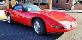 1994 Chevrolet Corvette for sale 101798546