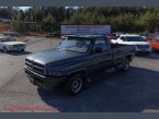 Thumbnail Photo 6 for 1994 Dodge Ram 1500 Truck 2WD Regular Cab