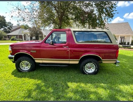 Photo 1 for 1994 Ford Bronco for Sale by Owner