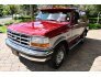 1994 Ford Bronco for sale 101618768