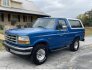 1994 Ford Bronco for sale 101821325