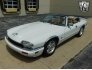 1994 Jaguar XJS for sale 101771733